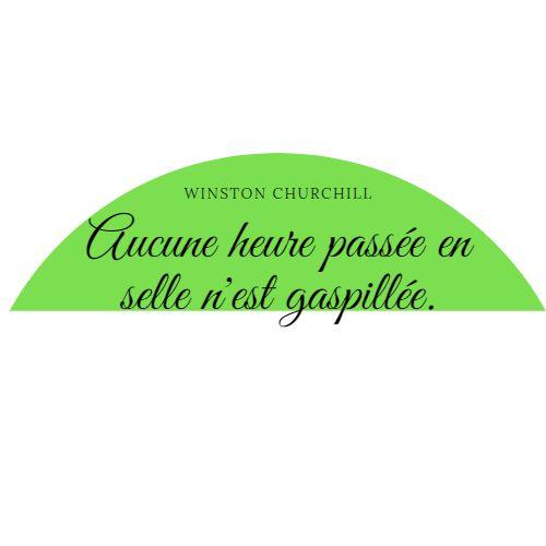 Citation churchill