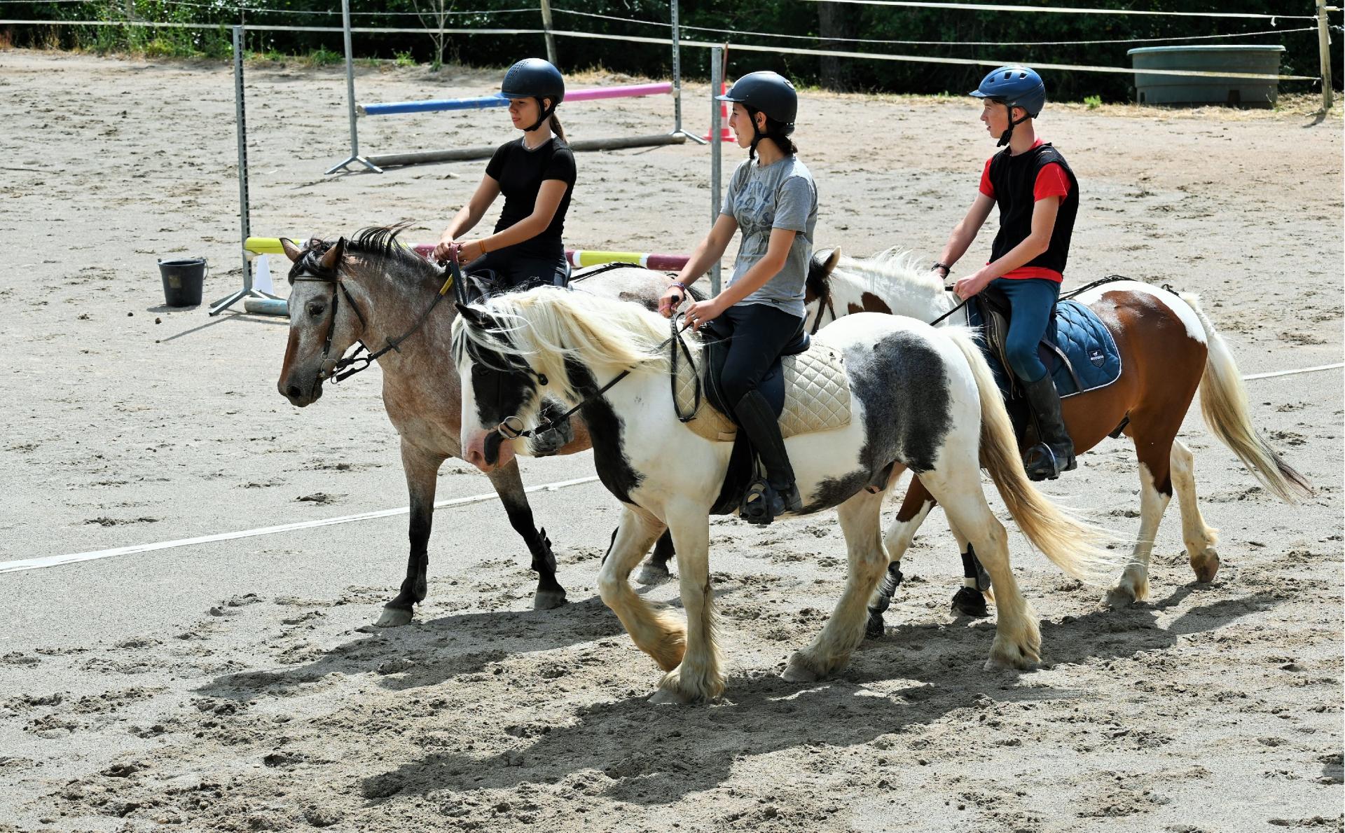 Cours equitation