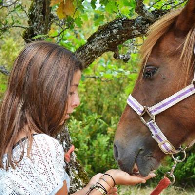 Equitation a la bastide pradines les chevaux du rajal38