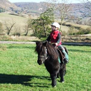 Equitation a la bastide pradines les chevaux du rajal52