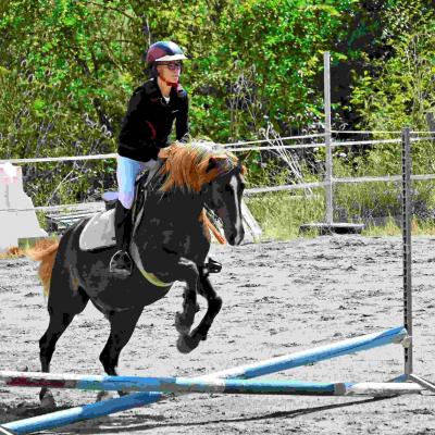 Obstacle equitation 1