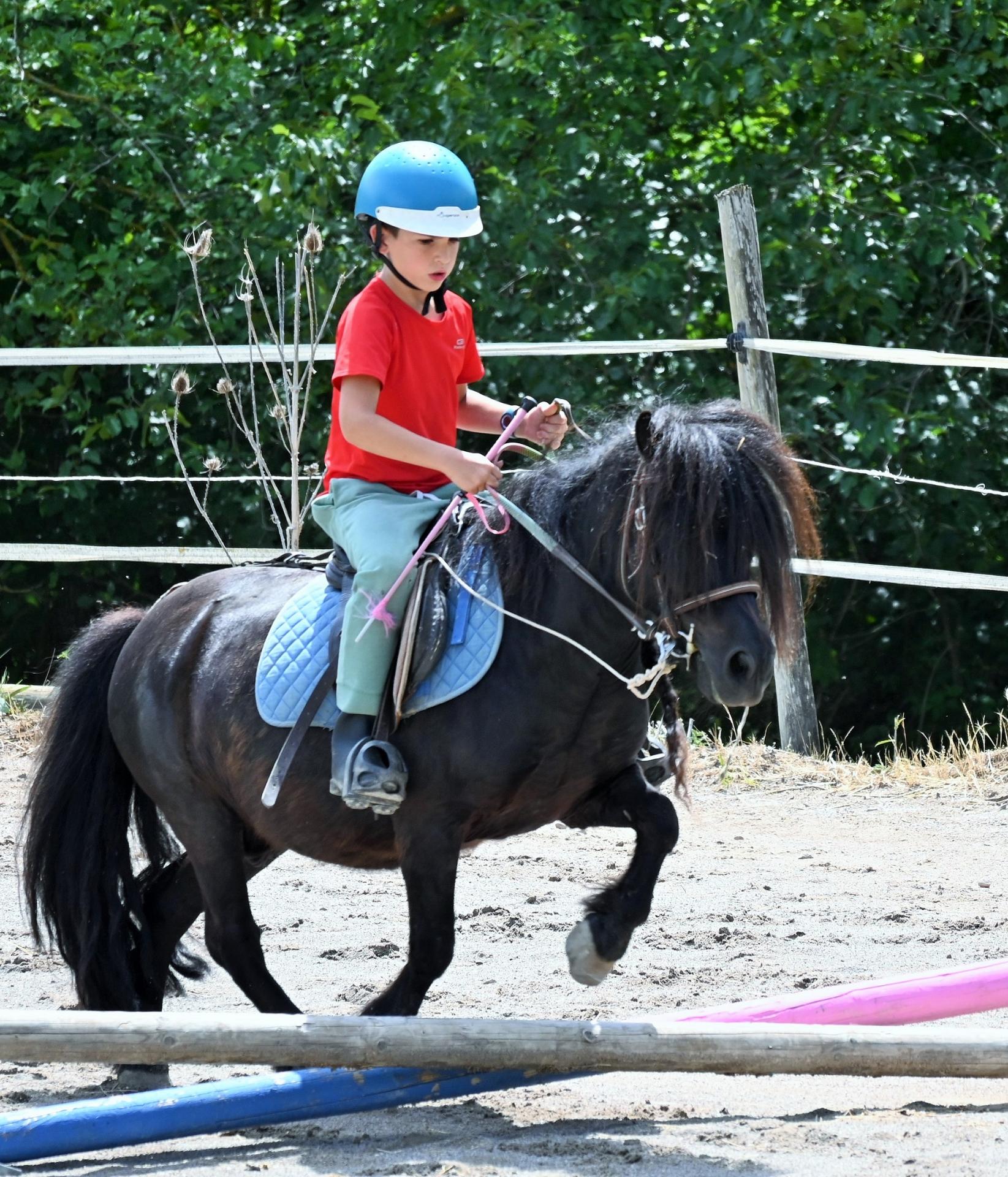 Zephir obstacle poney